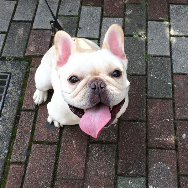 トレーニング中にWANLOVEさんが写した一コマ。