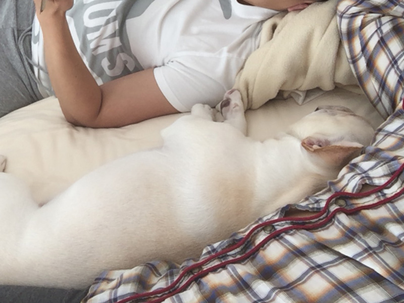 俺とじょにおの間でくつろぐプットニョス。