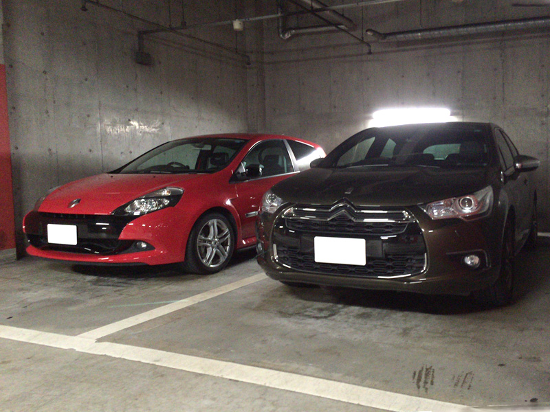 ルーテシアと。