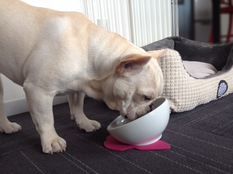 フレブル専用ボウル。