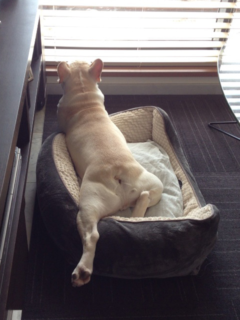 リビングで退屈。