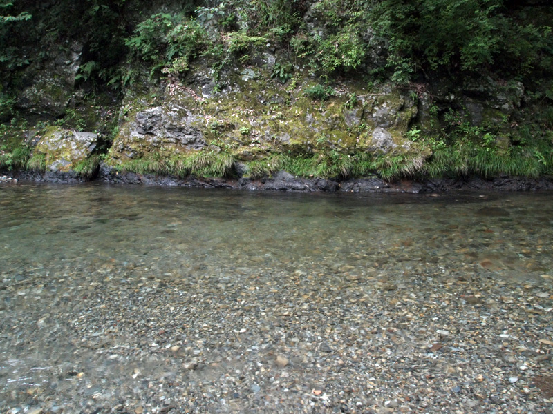 水はきれいで澄んでいて、流れも穏やか。