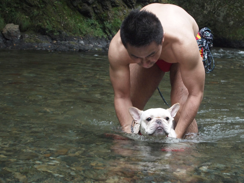 それっ、犬かきできるかな？