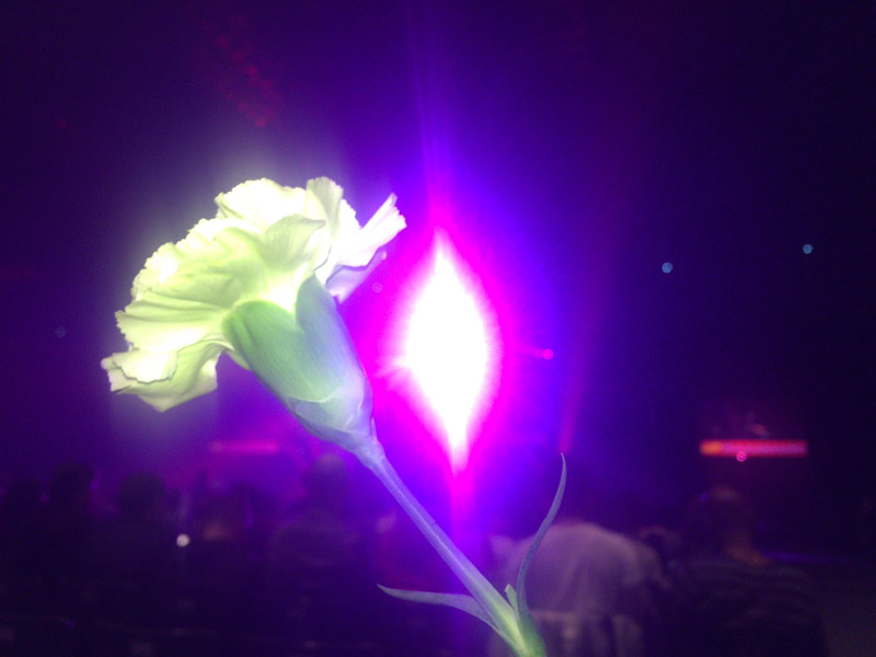 入場時に一人ひとりに配られたカーネーションと共に。