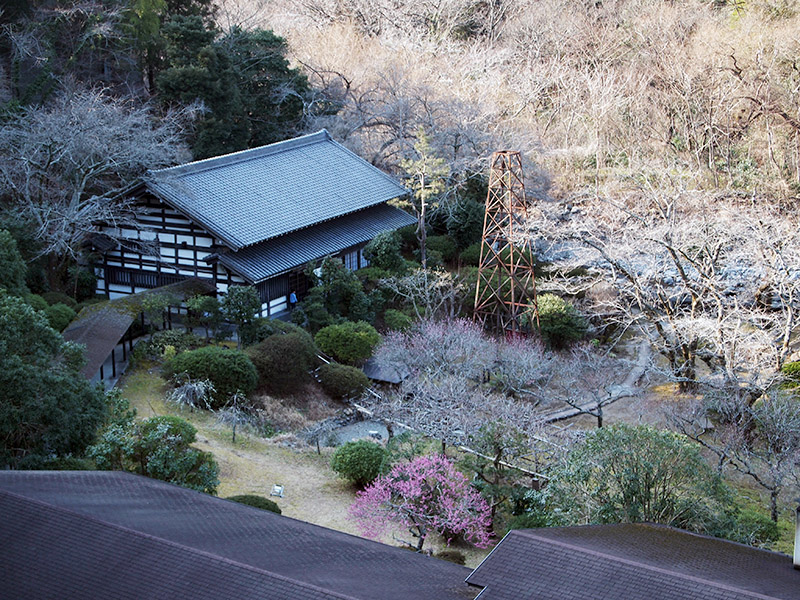 庭向こうにあるのが離れ。