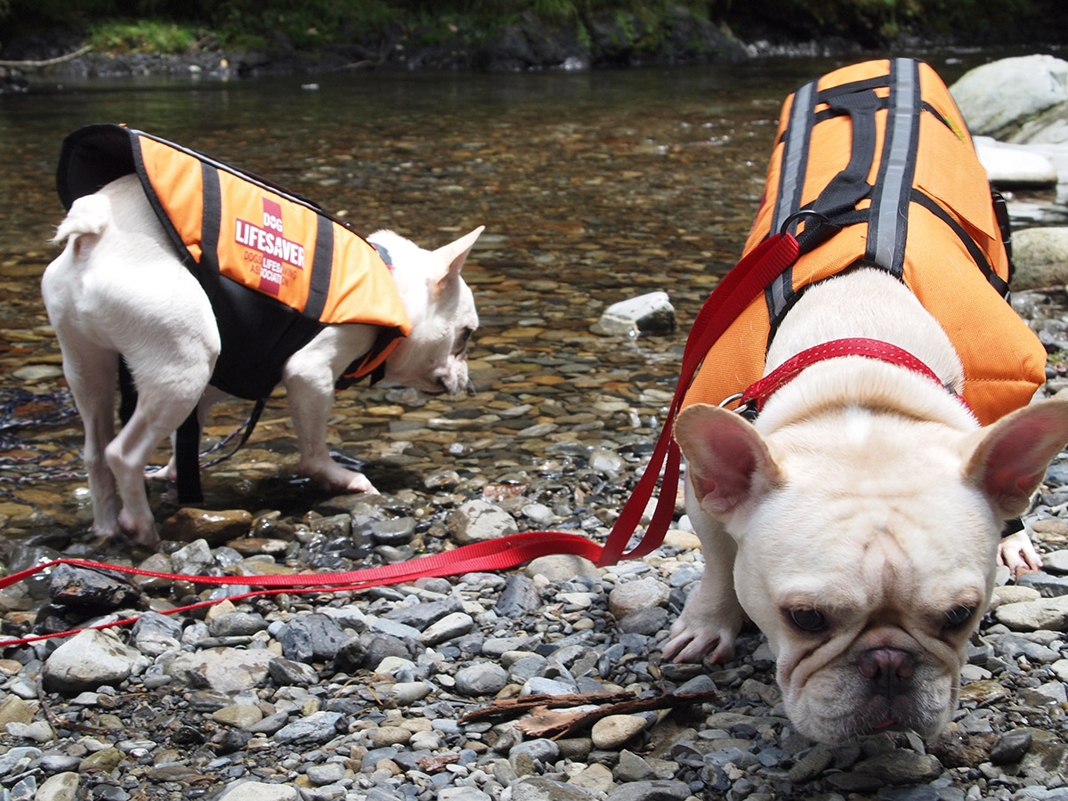 ライフジャケットをつけてまずは周囲を確認。