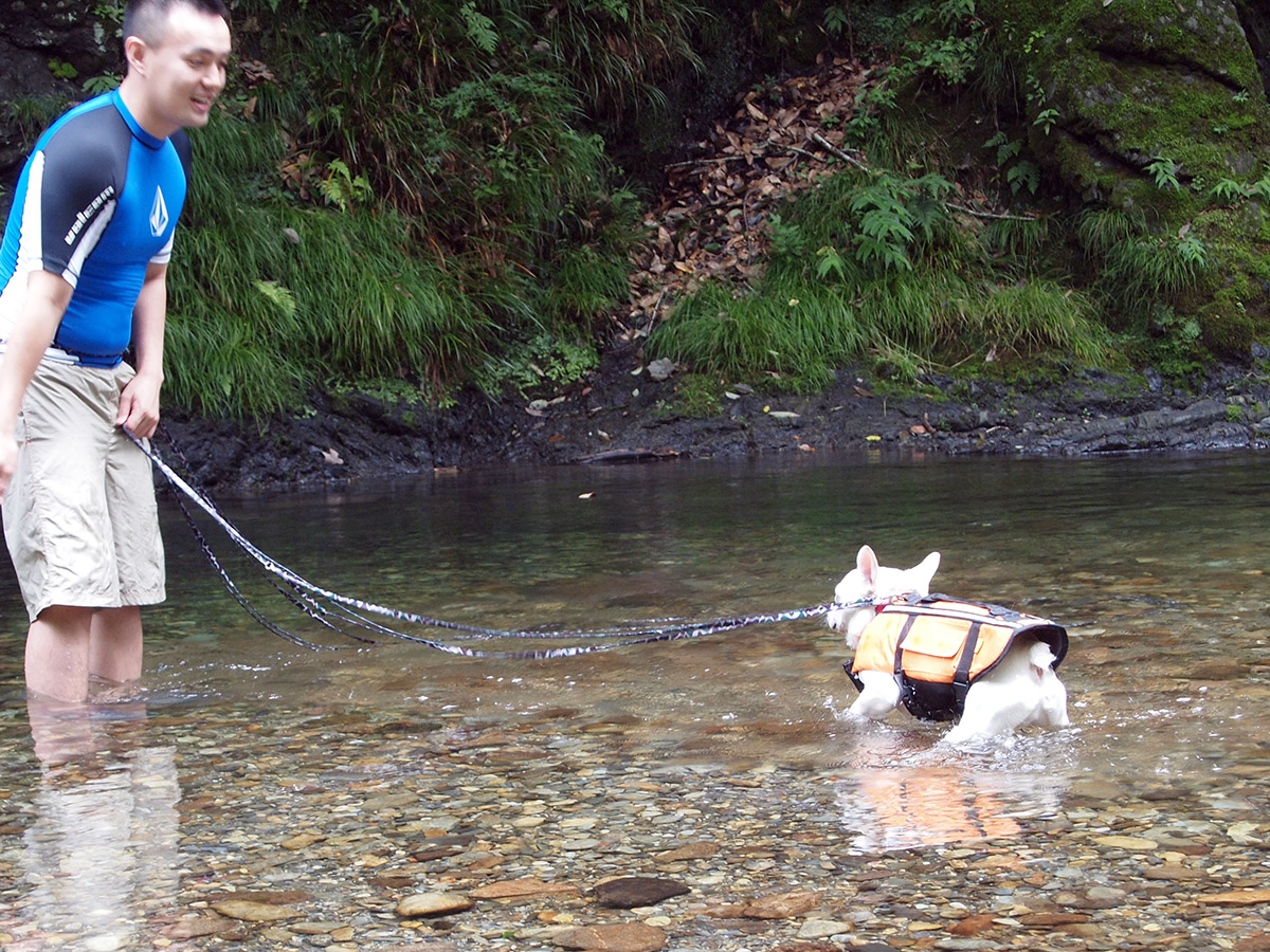 じょにおに連れられて川に入るノアノア。