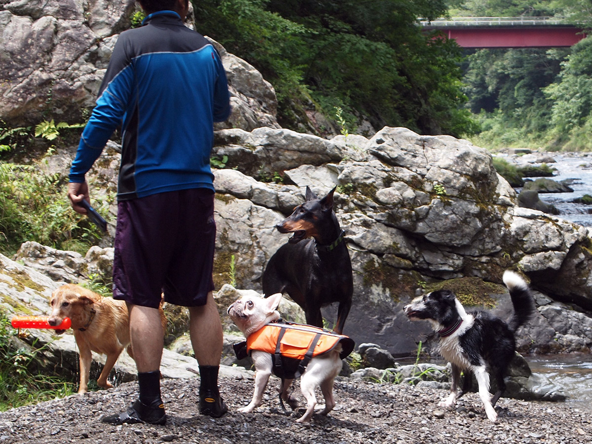 WANLOVEさんとノアノアの周りにいるのは右からムーグ、ココ、キルア。