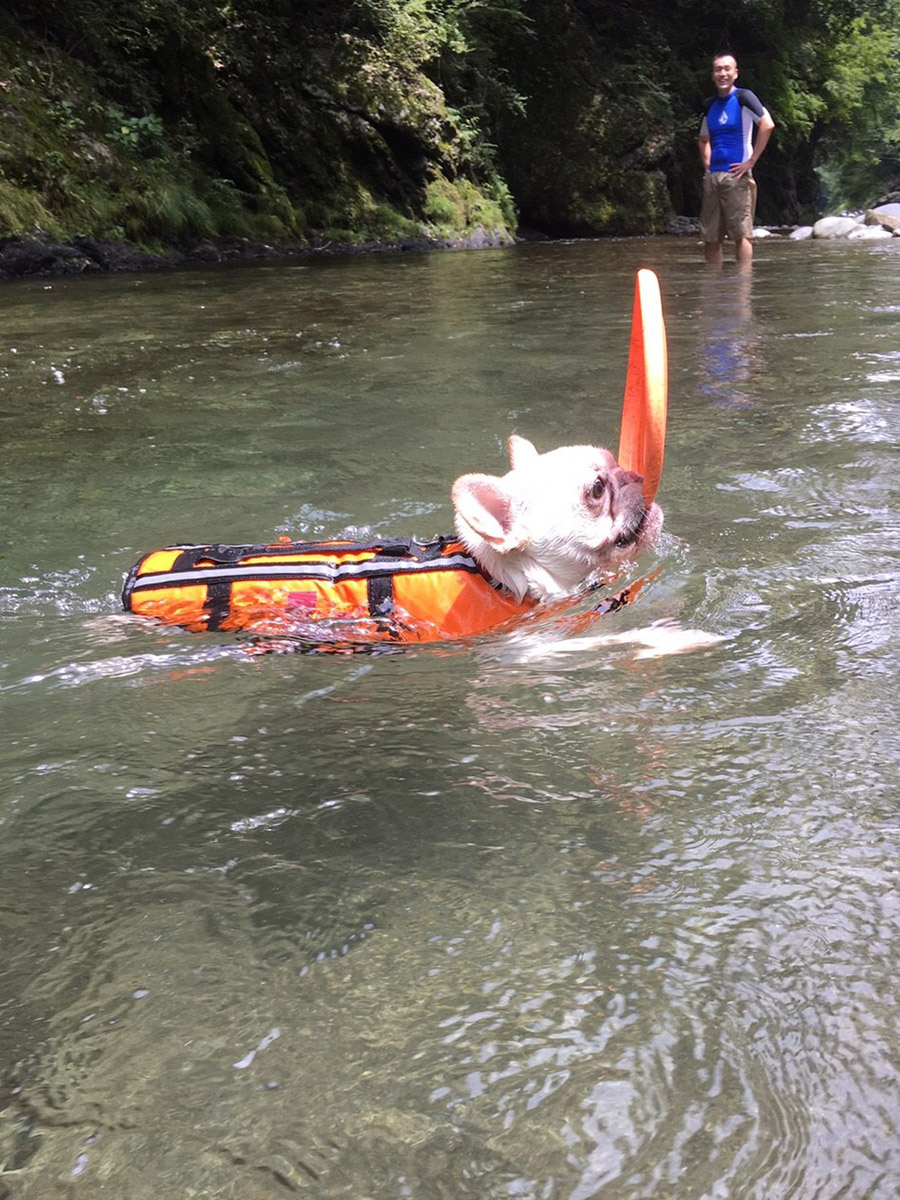 この状態で持ってくる。