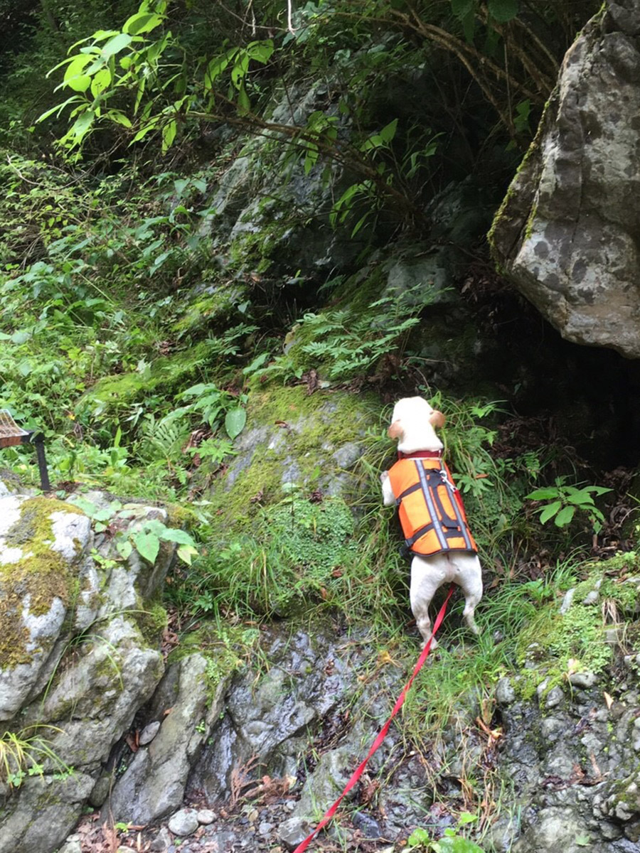その後は山登り。