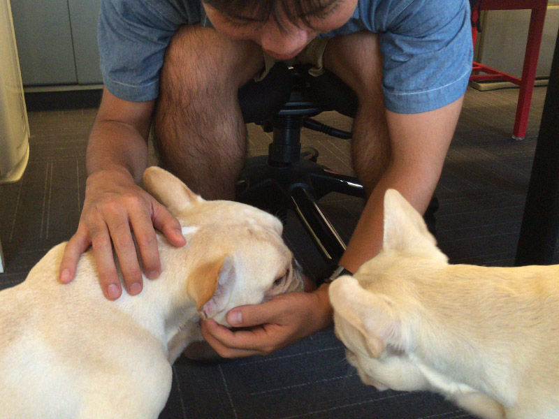 右がノアノア、左がプットニョス。