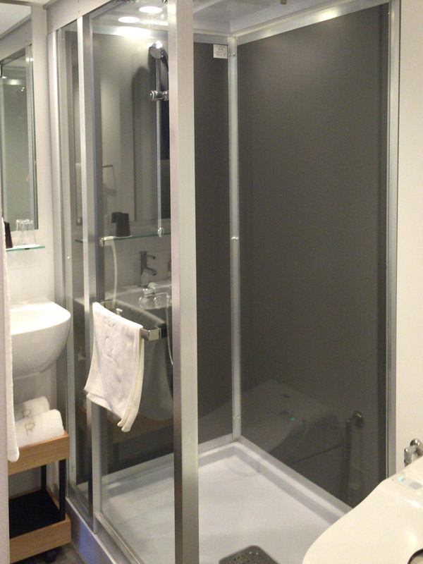 シャワーがレインシャワーでガラス張りなのはお約束。