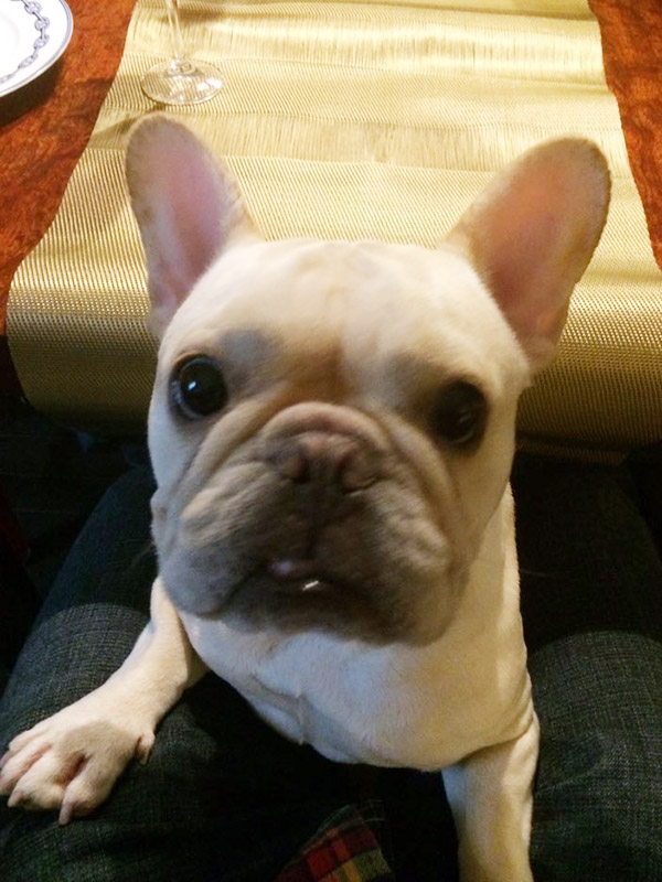 プットニョス。脚の間からこんにちは。