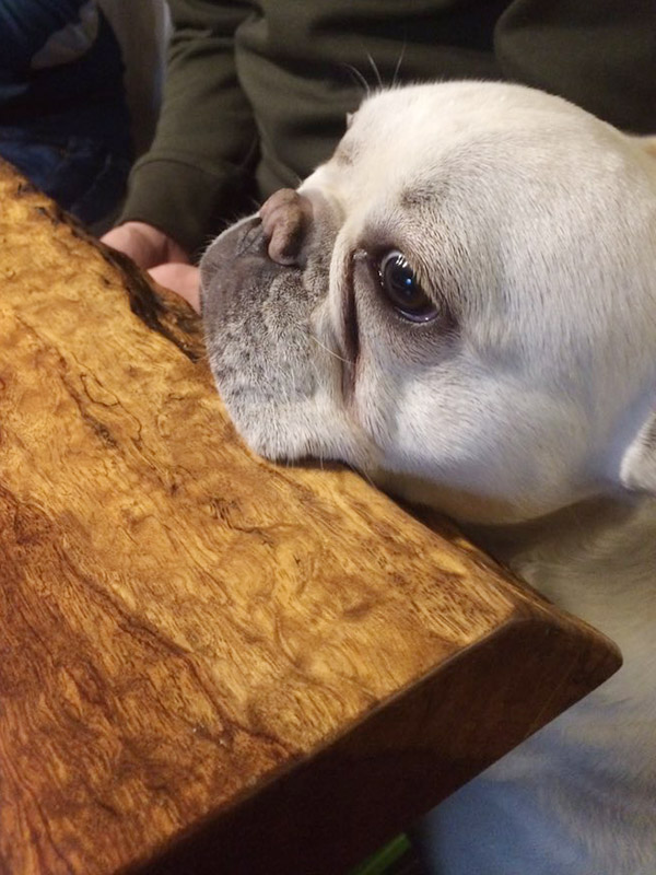 それおいしいの？とノアノア。