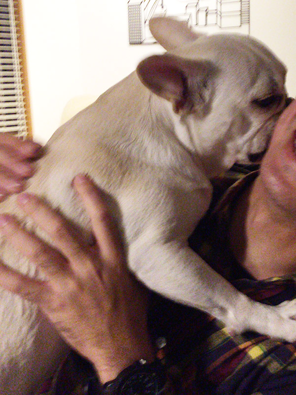 食後の触れ合いタイム。ノアノア、お客様を攻める。（笑）