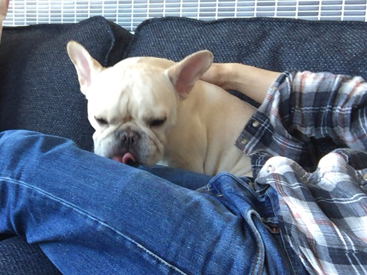 一緒に座って慣れさせてやる。