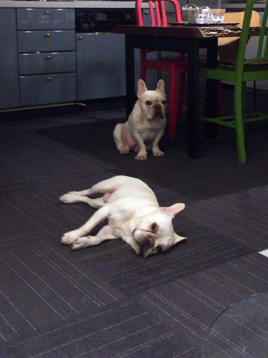 以前はチャコールグレーに白のストライプが入ったタイルカーペットを敷いていた。