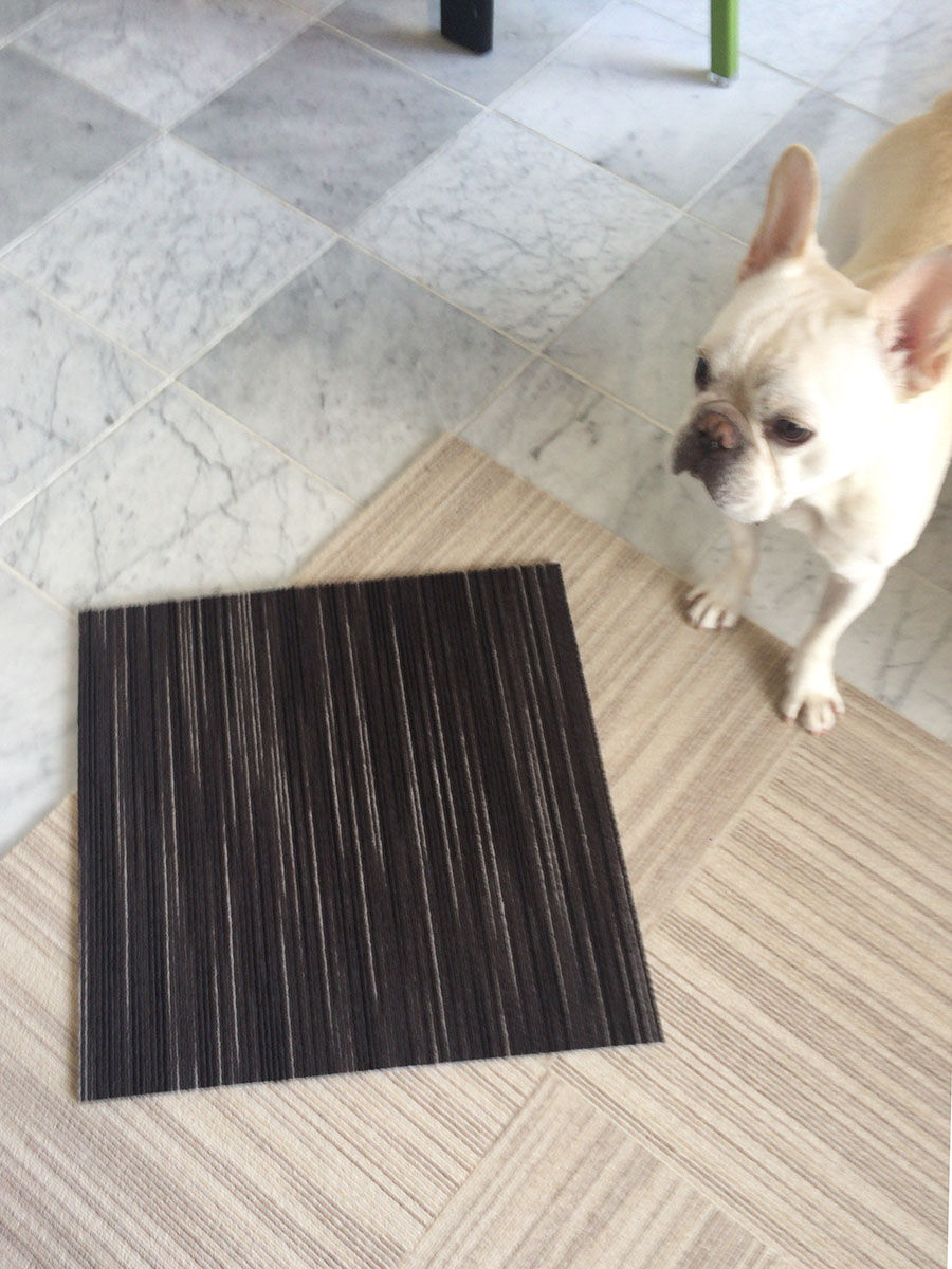 台所用のピースとの対比。