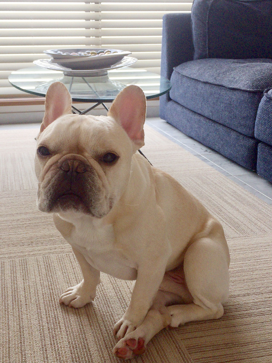 どうやら居心地は良さそう。