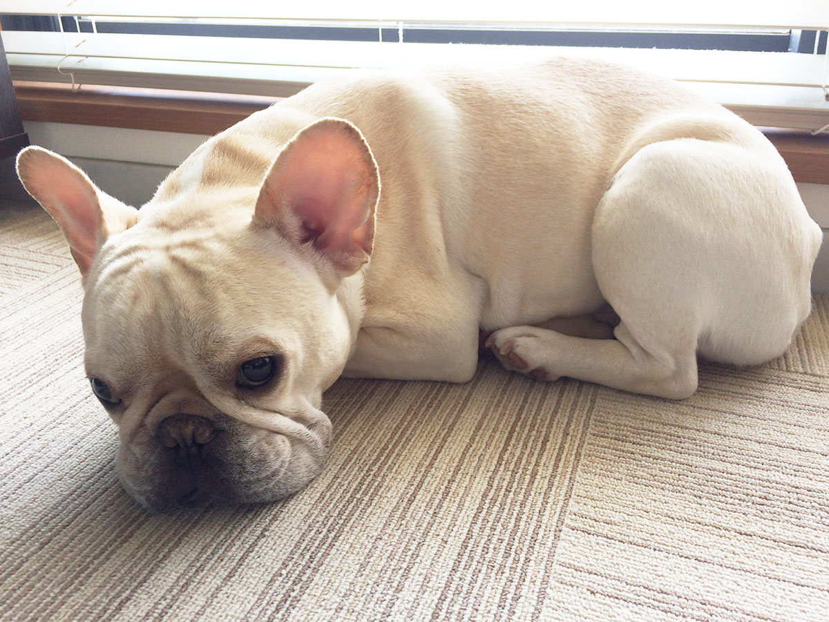 プットニョスも。