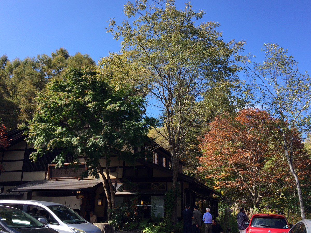 戸隠『そばの実』