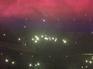 会場全体で光が揺れ動いていて美しかった。