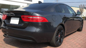 カルパチアングレー