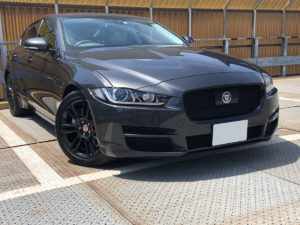 目つきが精悍かつ理知的でいいと思う。