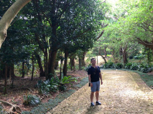 独特の植生の中、石畳を歩き進む。