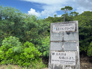 島尻のマングローブ林は宮古島市指定の天然記念物だとか。