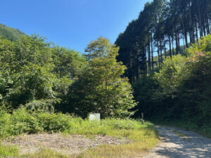 目的地付近で車を降りた場所。比較的開けているのは、ここくらい。