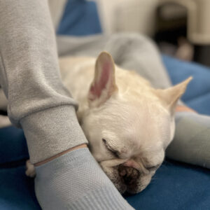 ノアノアはパートナーの足元で。