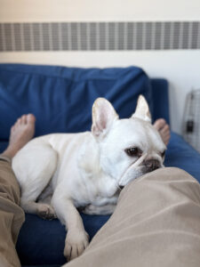 ノアノアはあきらかにくっつく時間が増えた。