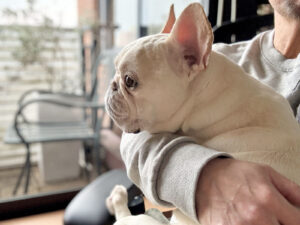 発作がおさまり、抱かれてテラスを眺めるプットニョス。2025/1/12撮影。