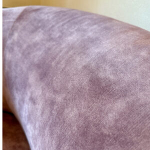 表情のあるダスティーローズRavello。