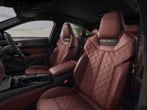 S5のファインナッパレザーシート。