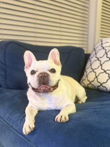 新居に慣れ、元気も取り戻したノアノア。