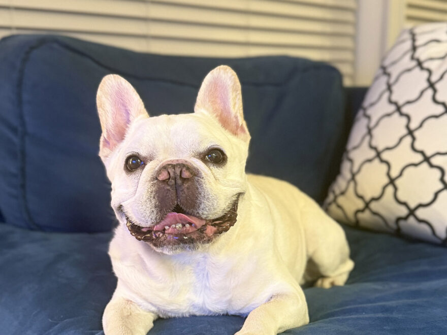 新居に慣れ、元気も取り戻したノアノア。