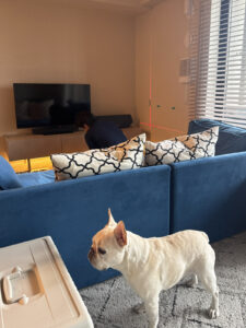 壁面オープンシェルフ造作工事の時にクレートで場所を仕切られている様子。