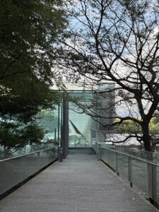 ポーラ美術館入口。ミニマルな印象のガラスとコンクリートで構成された建物の内部へ、エスカレーターで。