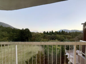 窓の外は緑以外に見るものはない。