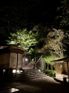 天山湯治郷入口。カメラの露光時間が長かったので、ライティングが明るく写っているが、実際はもっと暗い。