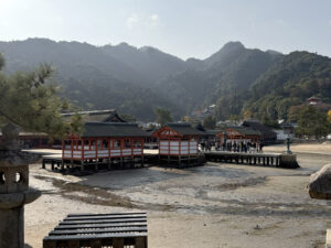潮は多少引いていたが、完全な干潮ではなく、沖の鳥居までは行けなかった。