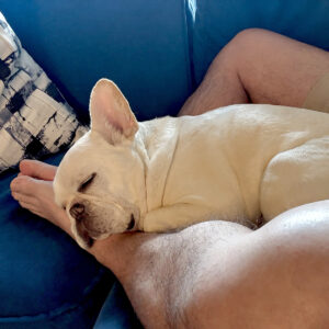 俺の脚の間で寝るノアノア。プットニョスがいた時は、こんなことはほとんどしたことがなかった。