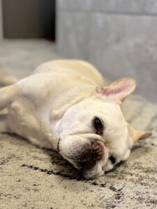 3週間を経て目が完治。