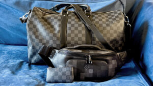 ブログ『鼻先のニンジン達』