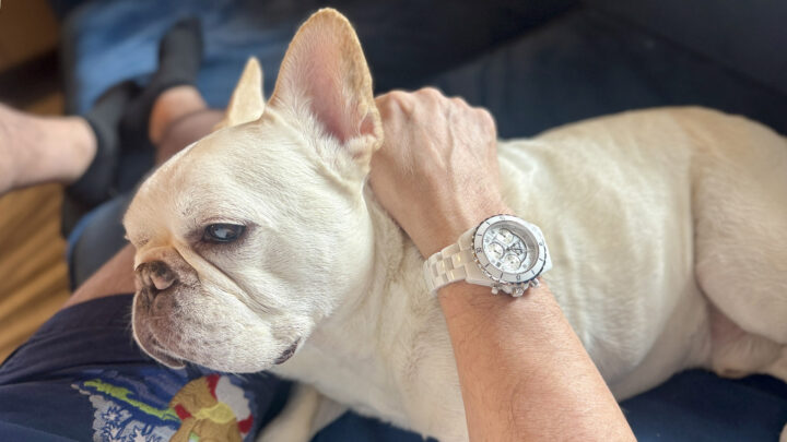 ブログ『ノアノアの暮らし』 ブログ『ノアノアの暮らし』